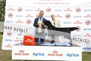 181848_kar_01__62_1244.JPG