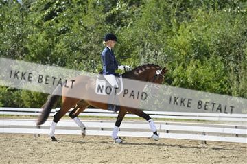 136195_abo_01__AB16081.JPG