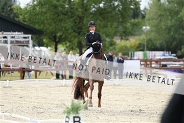 181923_mtp_03_R62_7312.JPG