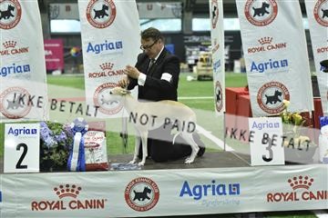 163793_bkn_01__BKN9472.JPG