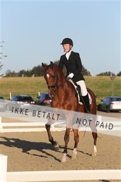 148862_sg_01_IMG_2277.JPG