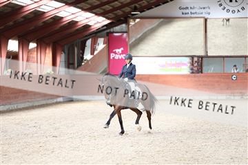 175442_kbb_01_R6II0006.JPG