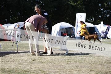 181848_kar_01__62_3181.JPG