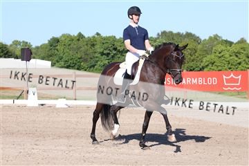 181449_bc_01R62_6259.JPG