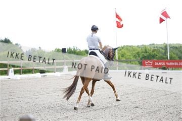 181449_kbb_02_6II0792.JPG