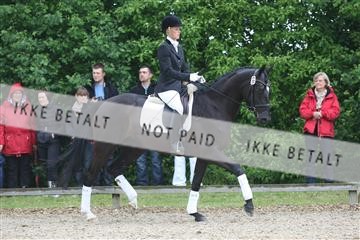 135518_ms_01_IMG_0729.JPG