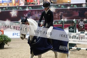 175934_avh_02_7900.JPG