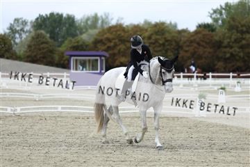 181923_mtp_04_R62_8413.JPG