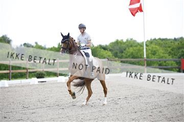 181449_kbb_02_6II0813.JPG