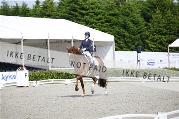 181449_kbb_02_6II1050.JPG