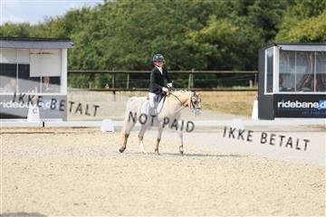 181894_mtp_05_R62_4086.JPG