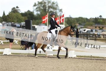 181894_mtp_03_R62_2616.JPG