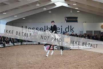 179022_kbb_01_R6II2499.JPG