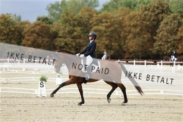 181923_mtp_03_R62_7238.JPG