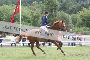 5925_ma_05_IMG_0768.JPG