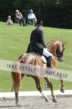 135676_sg_01_IMG_7864.JPG