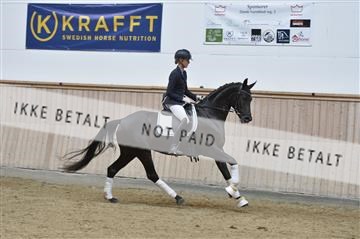 160111_nn_01__ESK2170.JPG