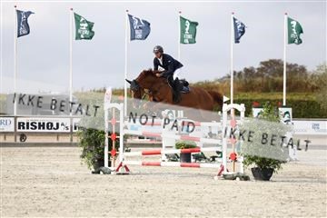 181922_avh_01_1211.JPG
