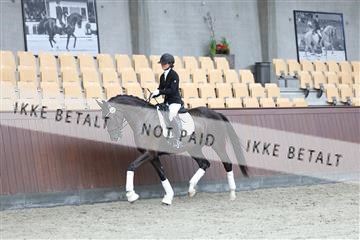 181852_mtp_03_R62_2488.JPG