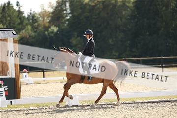 181894_mtp_02_R62_2118.JPG