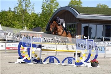 181436_avh_02_3623.JPG