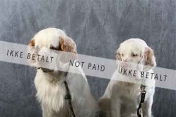 129608_le_ 01_0739.JPG