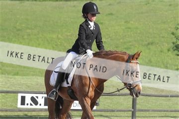 135086_sg_01_IMG_1720.JPG