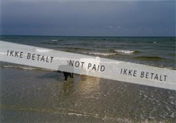 sort og hvid hund ved strand.jpg