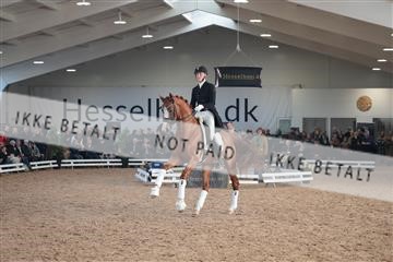 179022_kbb_01_R6II2984.JPG