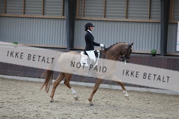 171210_mtp_01_3M5A6227.JPG