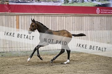 181754_kbb_01_Z093795.JPG