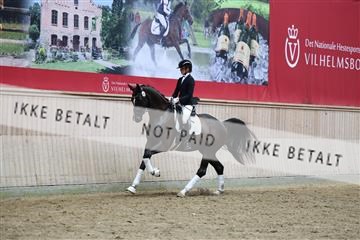 181887_mtp_05_R62_9846.JPG