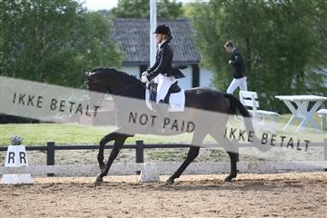 147698_nn_01_IMG_0140.JPG