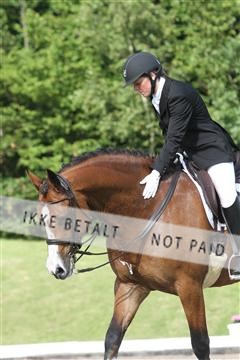 135676_sg_01_IMG_9789.JPG