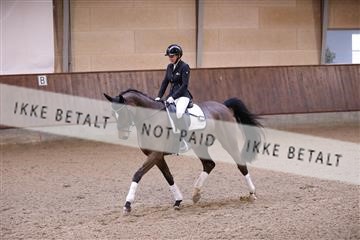 173821_mtp_01_3M5A8320.JPG