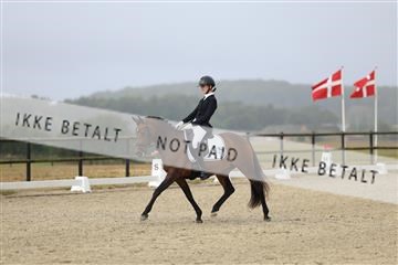 181894_mtp_04_R62_3588.JPG