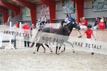 181868_mtp_03_R62_6262.JPG