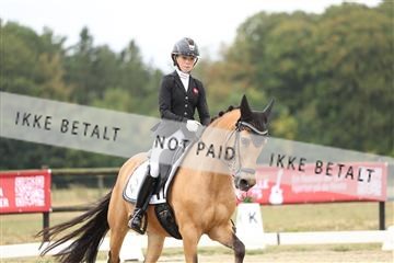 181894_mtp_04_R62_3408.JPG