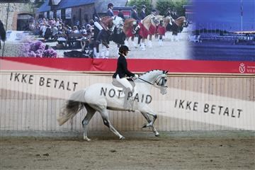 181887_mtp_02_R62_7456.JPG