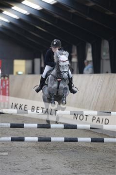 153176_ms_01_MS15809.JPG