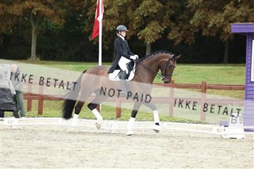181923_mtp_03_R62_7956.JPG