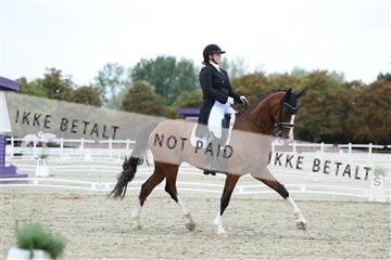181923_mtp_04_R62_8440.JPG