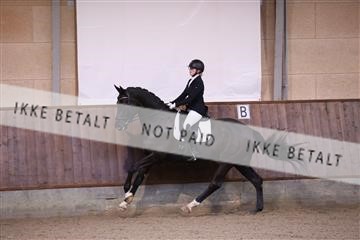 173821_mtp_01_3M5A8463.JPG