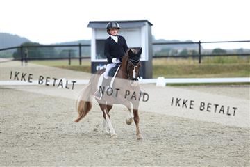 181894_mtp_05_R62_4237.JPG