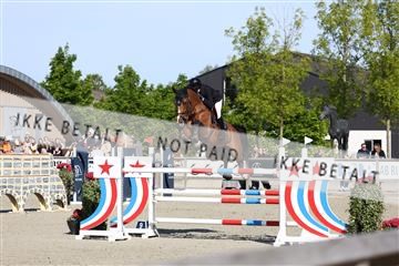 181436_avh_01_3391.JPG
