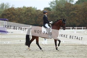 181923_mtp_03_R62_7807.JPG