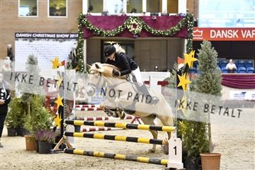 161006_abo_01__D050756.JPG