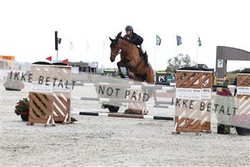 181922_avh_01_0975.JPG