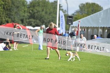 175267_bkn_01__JBR2443.JPG