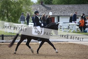 147698_nn_01_IMG_0248.JPG